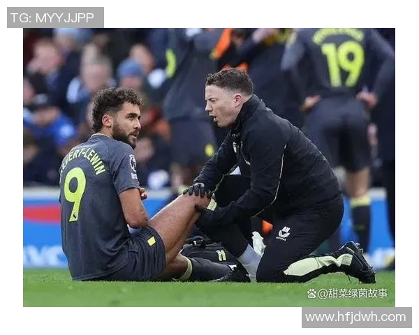 莱斯特城与埃弗顿比赛前瞻及胜负预测分析