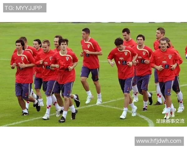 2019年厄瓜多尔与日本足球赛比分预测及分析