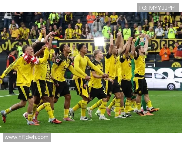 德甲激战柏林联合迎战多特蒙德争夺积分榜重要位置