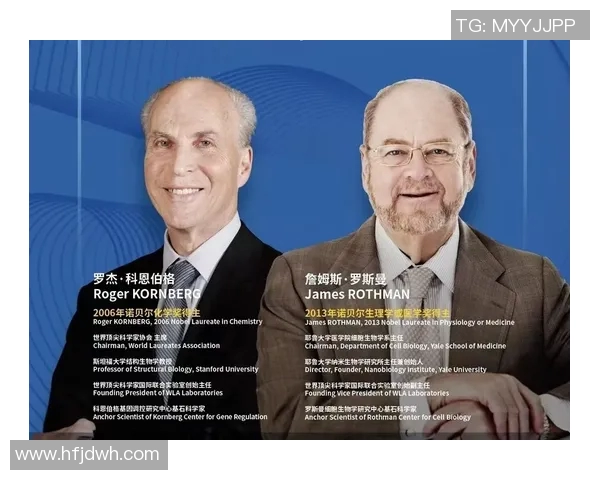 拉波尔特的崛起与未来发展：探索其在全球经济中的重要角色与影响力