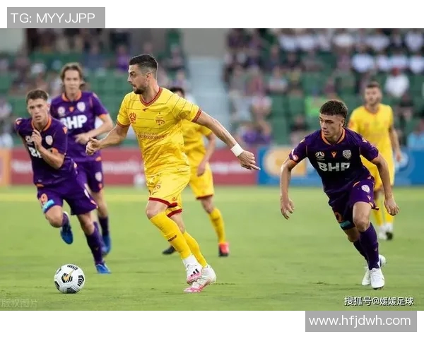 惠灵顿凤凰与西悉尼流浪者足球对决精彩回顾与赛季展望 惠灵顿凤凰与西悉尼流浪者足球对决精彩回顾与赛季展望