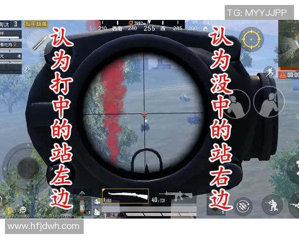 和平精英深度解析LNG战队的战术转换与团队协作策略 和平精英深度解析LNG战队的战术转换与团队协作策略