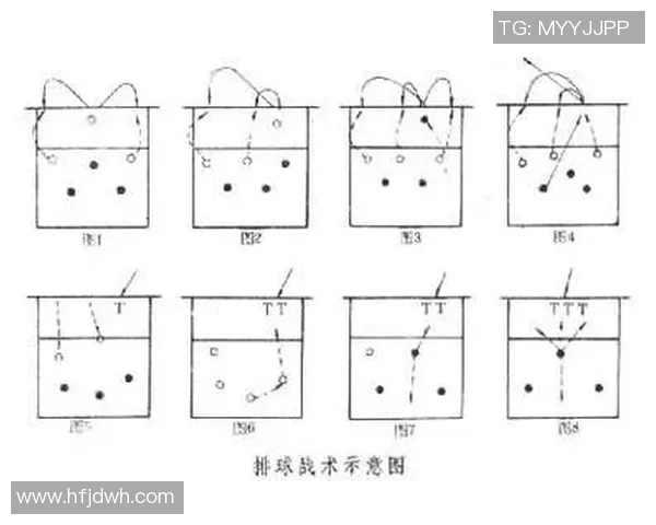 杭州排球队的控制打法深度解析与战术应用探讨 杭州排球队的控制打法深度解析与战术应用探讨