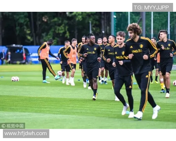 比利时与日本河马的精彩对决解析与战术分析 比利时与日本河马的精彩对决解析与战术分析