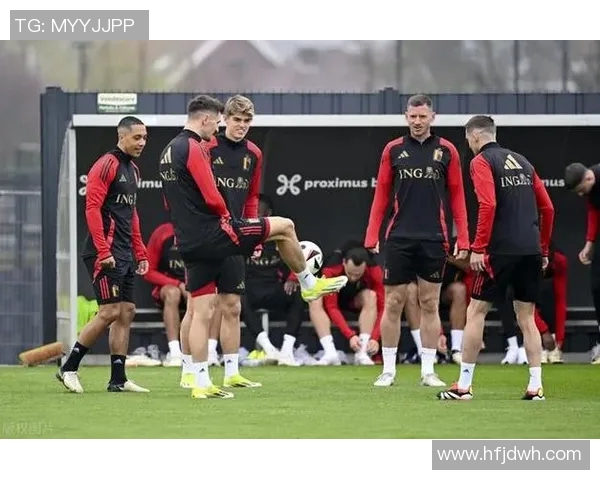 爱尔兰与奥地利激战成和比分揭晓精彩赛事回顾